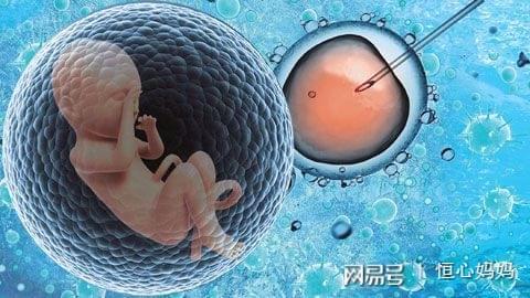 助孕儿子包成功